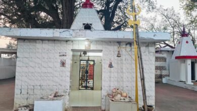 Photo of महाशिवरात्रि पर्व पर आज 12 बजे नवाडीह माताचौरा मंदिर से बाजे गाजे व मनोरम जीवंत झांकियों के साथ शिव पार्वती की बारात निकलेगी।
