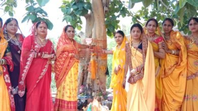 Photo of गुरुवार को सीपत अंचल की महिलाओं ने वट सावित्री व्रत परंपरागत रूप से आस्था व श्रद्धा के साथ मनाया गया