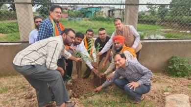 Photo of जिला कार्यालय में मनाया गया एक पेड़ मां के नाम पौधारोपण कार्यक्रम