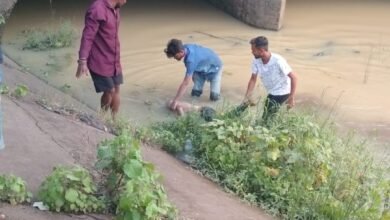 Photo of नहर में मिली संदिग्ध अवस्था में अज्ञात युवक की लाश… सीपत थाना क्षेत्र का मामला