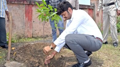 Photo of कलेक्टर ने कलेक्टोरेट परिसर में लगाया रुद्राक्ष का पौधा