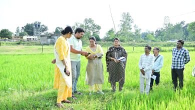 Photo of ग्राम कुदरी में खरीफ गिरदावली कार्य का कलेक्टर ने किया अवलोकन