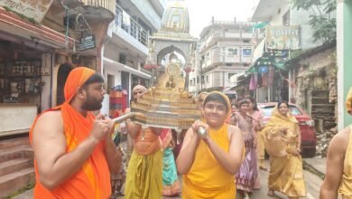 Photo of नगर गौरेला में श्री जी की भव्य शोभायात्रा