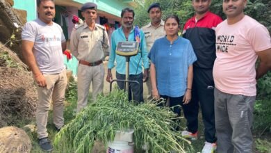 Photo of बाड़े में अवैध रूप से गाँजा की खेती कर बिक्री करने वाला आरोपी  गिरफ्तार