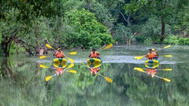 Photo of विश्व पर्यटन मानचित्र में बस्तर के धुड़मारास गांव ने बनाई अपनी जगह