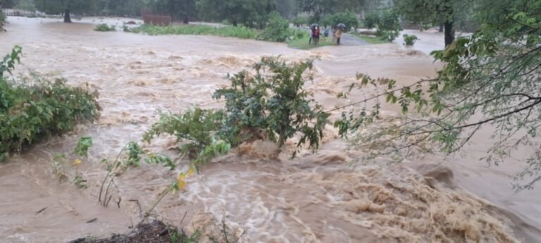 आफत की बारिश ने तोड़े सारे रिश्ते, टूटा नवागांव-तेंदुभाठा का संपर्क –    चापीनाला  बना जलसमाधि!
