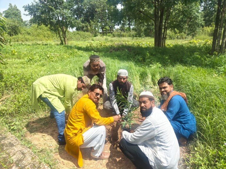 सदका-ए-जारिया…. यौमे पैदाइश में मुस्लिम समाज करेगा पौधा रोपण..