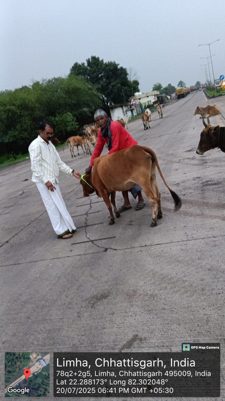 हर रात जाग रही एक जिम्मेदारी – मवेशियों की जान बचाने सड़क पर उतरा टोल प्रबंधन