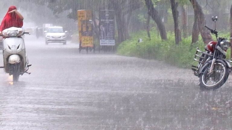 रायपुर : प्रदेश में अब तक 867.5 मि.मी. औसत वर्षा दर्ज
