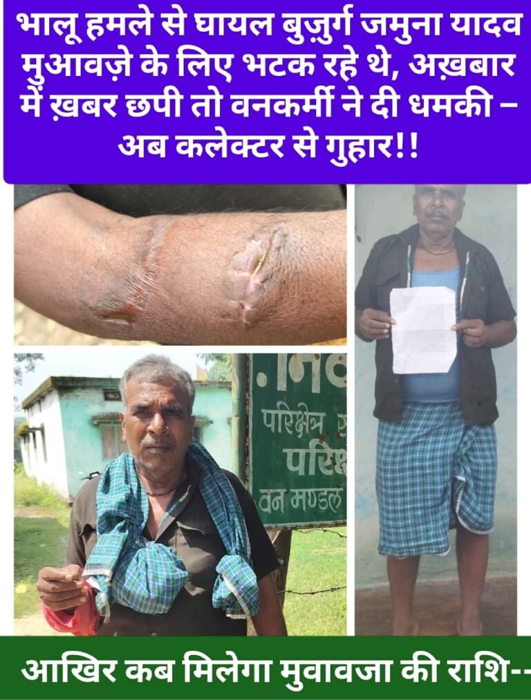भालू हमले से घायल बुज़ुर्ग जमुना यादव मुआवज़े के लिए भटक रहे थे, अख़बार में ख़बर छपी तो वनकर्मी ने दी धमकी – अब कलेक्टर से गुहार