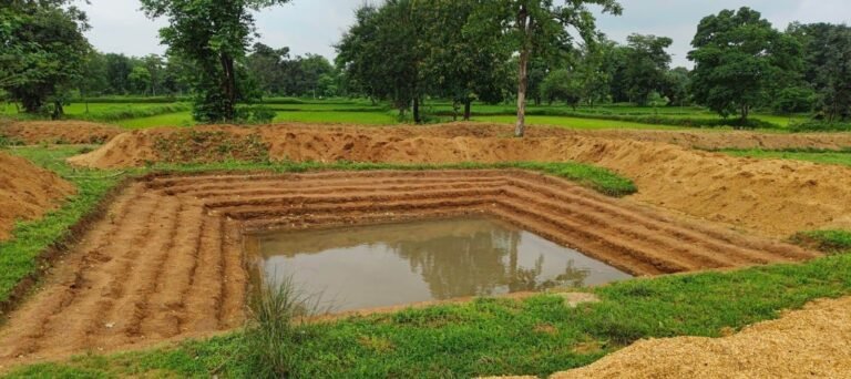 सामुदायिक प्रयासों का रहा बेहतरीन परिणाम : संस्कारधानी को मिल रहा बेस्ट डिस्ट्रिक्ट का सम्मान