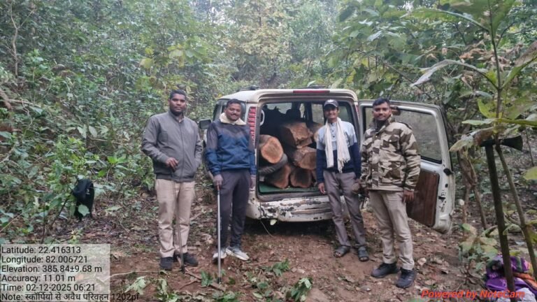 रात्रि गश्त के दौरान वन विभाग की टीम ने इमारती लकड़ियों से भरी स्कॉर्पियो को किया जप्त