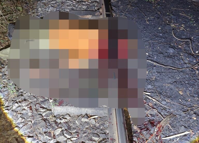 एनटीपीसी सीपत की MGR रेल लाइन में ठेका श्रमिक युवक की सिर कटी लाश मिलने से सनसनी, पुलिस जुटी जांच में