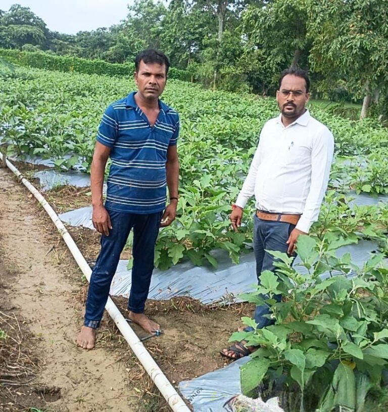 रायपुर : राष्ट्रीय कृषि विकास योजना से बदली किसान की किस्मत