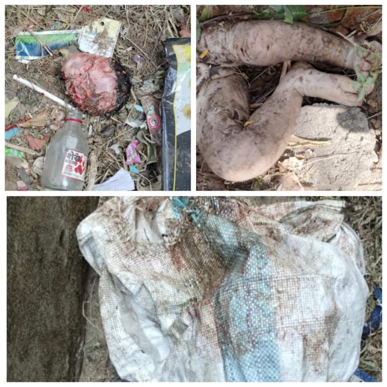 सीपत; मानवता शर्मसार: शासकीय स्कूल परिसर में नवजात को फेंका..धड़ सहित टुकड़े अलग-अलग घरों के आंगन में पड़े मिले, पुलिस जुटी जांच में!