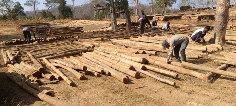 रायपुर : वन विकास निगम में ‘डिजिटल क्रांति‘ और ‘रोजगार संगम‘ का सफल मॉडल