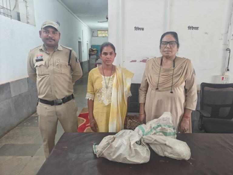 मटियारी में अवैध गांजा बेचने वाले आरोपिया को सीपत पुलिस ने किया गिरफ्तार