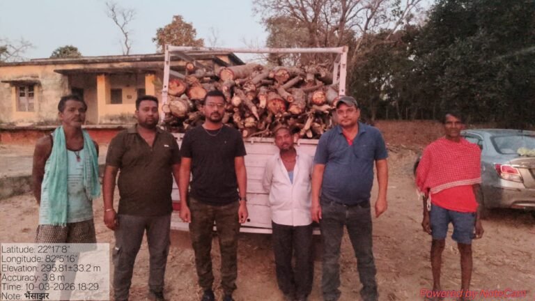 रायपुर : लकड़ी के अवैध परिवहन पर कार्रवाई