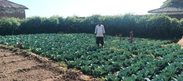 रायपुर : डबरी बनी स्थायी आजीविका का आधार