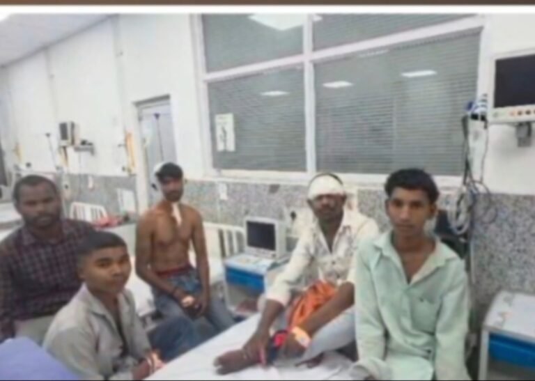 पाली थाना क्षेत्र में सड़क हादसा, पिकअप पलटने से 1 की मौत, कई घायल