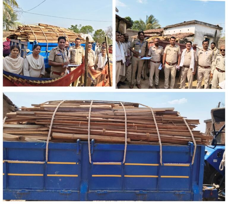 बेलगहना–कोटा वन विभाग की संयुक्त कार्रवाई: लकड़ी का बड़ा जखीरा जप्त