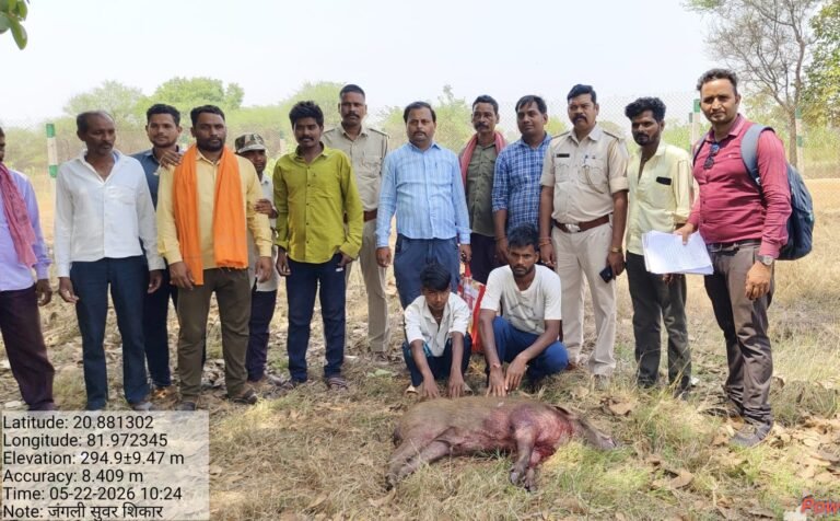 राजिम के जंगल में जंगली सुअर का अवैध शिकार, 2 आरोपी गिरफ्तार 6 पालतू कुत्तों की मदद से किया गया शिकार, 4 आरोपी फरार