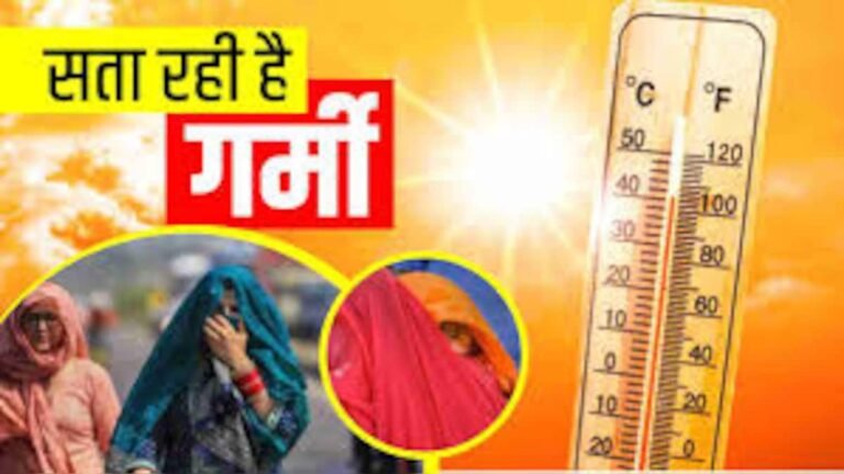 छत्तीसगढ़ में गर्मी का कहर! 46 डिग्री तापमान से इंसान ही नहीं, बेजुबान भी बेहाल… पाली में सैकड़ों चमगादड़ों की मौत