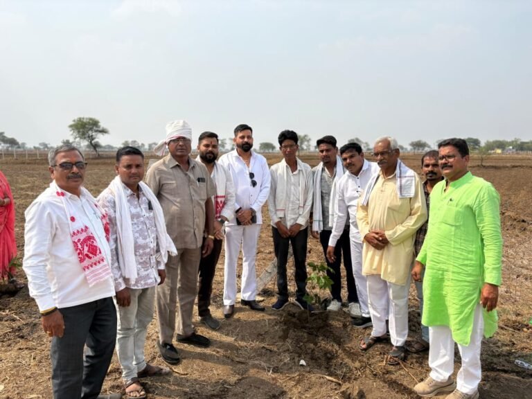 किरवई के पुजेरिन दाई माता मंदिर प्रांगण में जिला साहू संघ ने किया वृक्षारोपण, पर्यावरण संरक्षण का दिलाया संकल्प