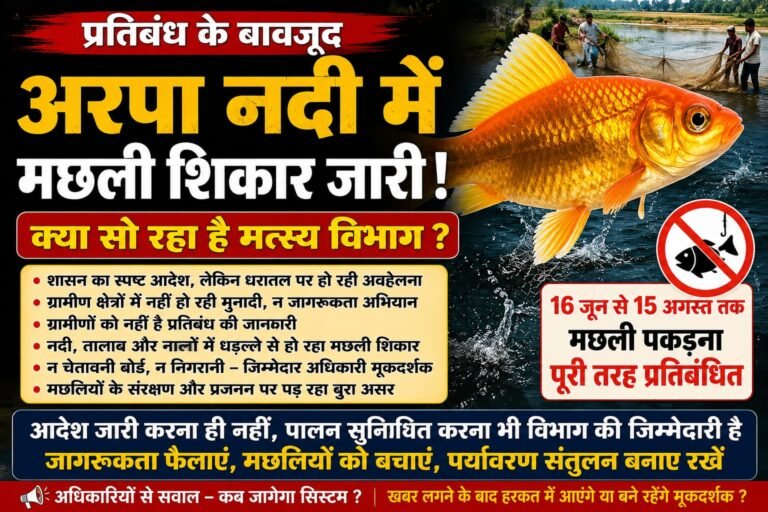 प्रतिबंध के बावजूद अरपा नदी में धड़ल्ले से मछली शिकार, क्या सो रहा है मत्स्य विभाग?