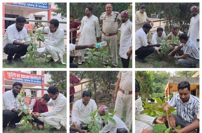 विश्व पर्यावरण दिवस पर हरियाली का संदेश, अमान अंसारी वेलफेयर फाउंडेशन ने चलाया विशेष वृक्षारोपण अभियान