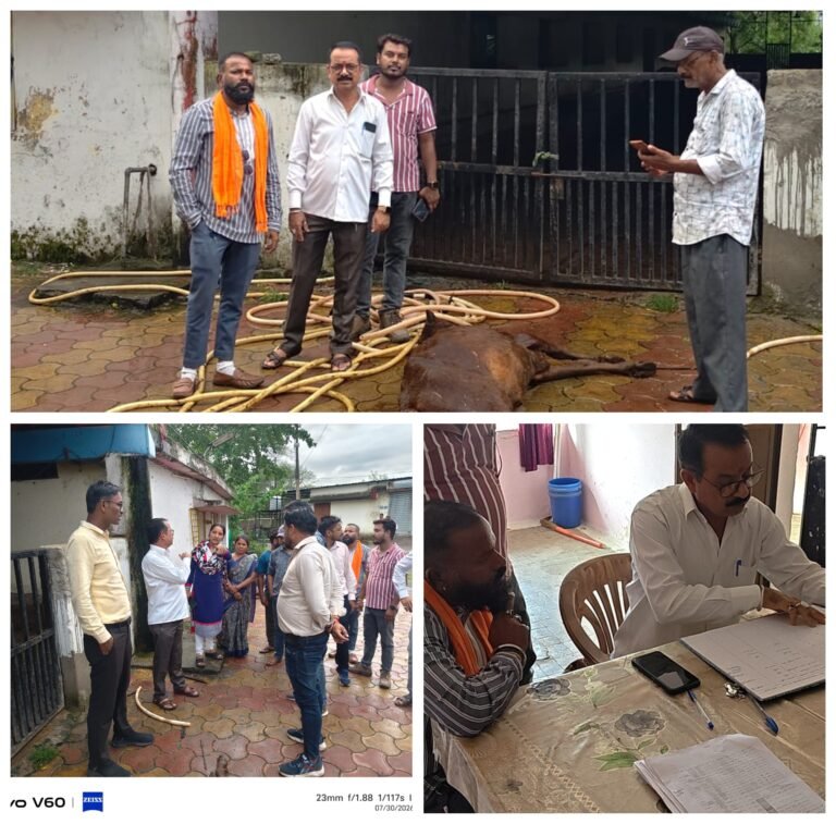 मोपका का आदर्श गौठान में गायों की मौतो को  लेकर गौ सेवा अध्यक्ष दुबे ने उठाए गंभीर सवाल,जताई नाराजगी