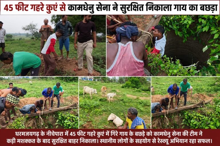 45 फीट गहरे कुएं से गाय के बछड़े का सफल रेस्क्यू, कामधेनु सेना ने बचाई जान