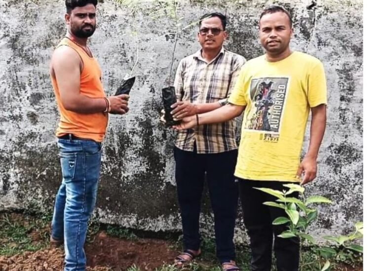प्राथमिक शाला पचरा में हुआ वृक्षारोपण, बच्चों ने लिया पर्यावरण संरक्षण का संकल्प