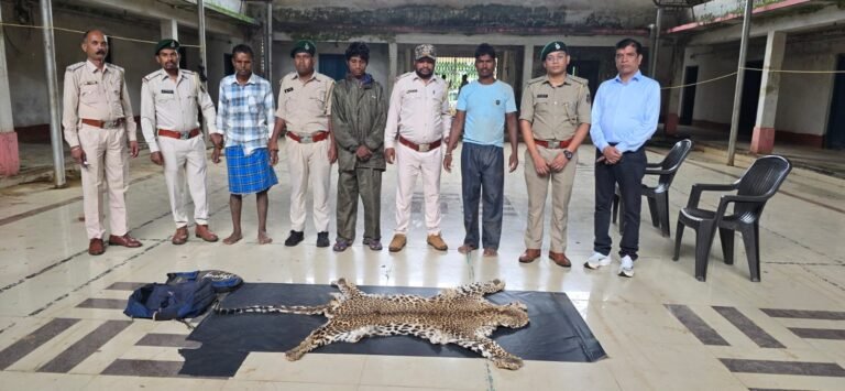 धौड़ाई में वन विभाग की बड़ी कार्रवाई  ,,3 आरोपियों से तेंदुए की खाल जब्त