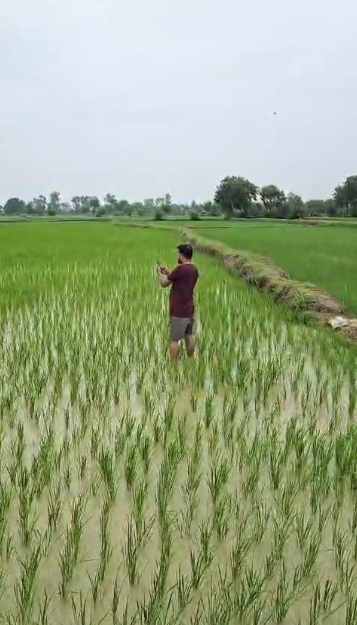 एग्रीस्टेक के तहत 703 गांवों में डिजिटल क्रॉप सर्वे शुरू, 30 सितंबर तक पूरा होगा सर्वे