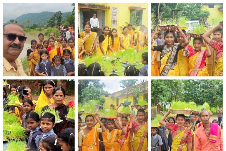 टुकनी में उगी भोजली, गांव में बिखरी हरियाली की खुशबू