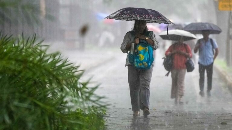 बिलासपुर समेत चार जिलों में बहुत भारी बारिश का अलर्ट, IMD ने जारी की चेतावनी
